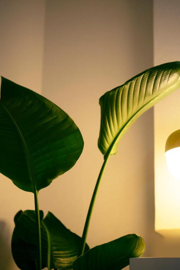 #9 3Mins To Station 1Stop To Shinjuku Stylish Apartment With Plenty Of Sunlight Tokyo Eksteriør billede